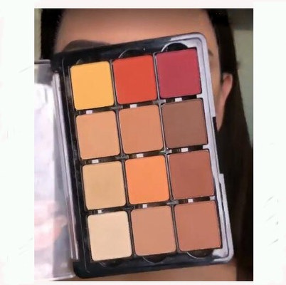 Glitzer Metallische gemischte Farbe Augenschatten Palette Elegante Satin Matte Mineralzutat