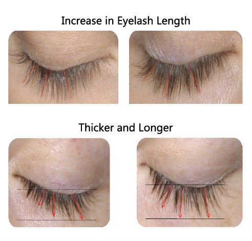 QBEKA Kosmetik Kräuterextrakte Bio Vitamin E Peptid Wimpern Augenbrauenwachstumsserum 5ml 0