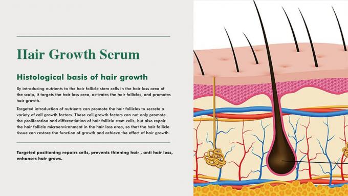 Erleben Sie stärkere und dickere Haare mit unserem hochentwickelten Haarwachstumsserum 0