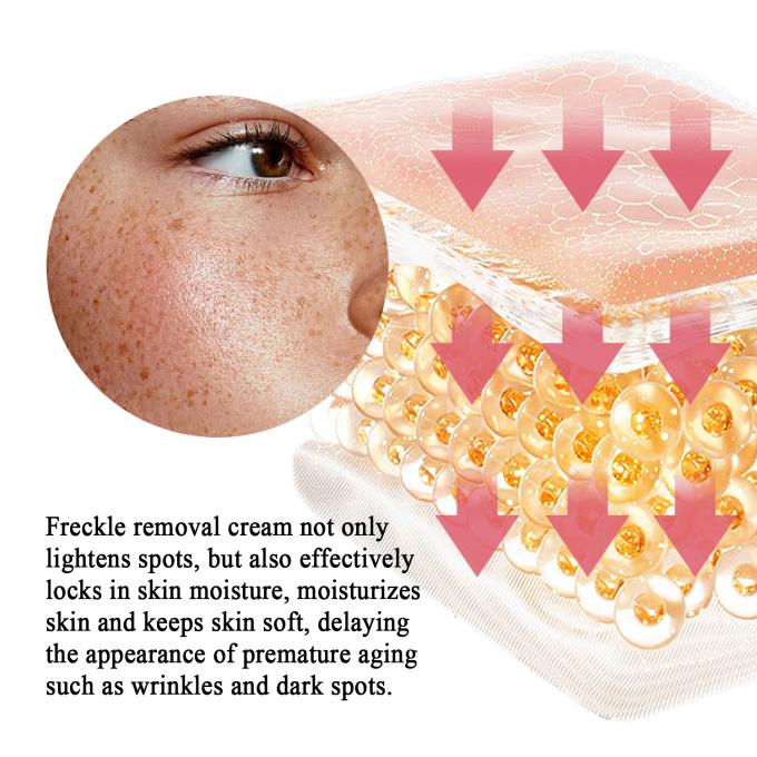 Freckle Removal Face Cream auf Glycerinbasis für OEM/ODM Hautpflegeprodukte Private Label 4
