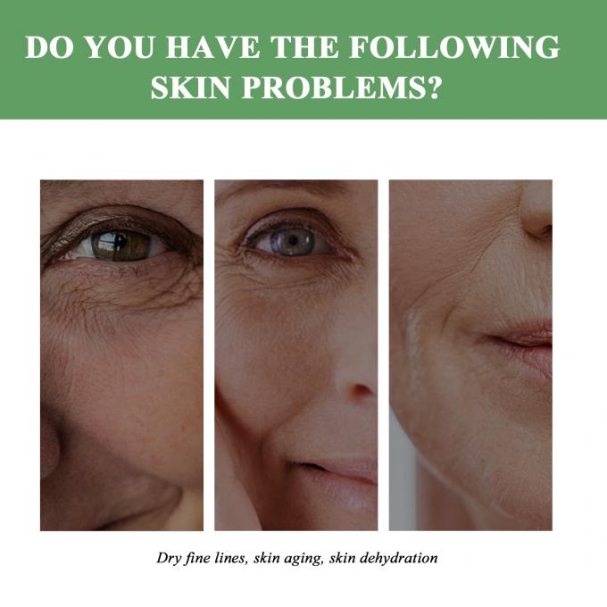 Regelmäßige Größe Anti-Aging Feuchtigkeitscreme Bio-natürliche Faltenlöschcreme für Erwachsene 6