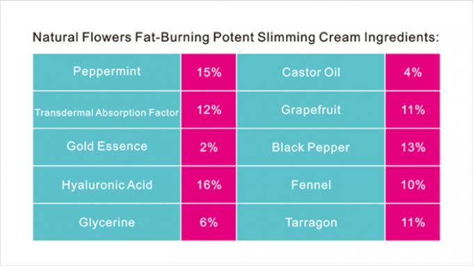 Body Slimming Cream OEM Bio Wirksam Gewichtsverlust nicht leicht zu erholen 10