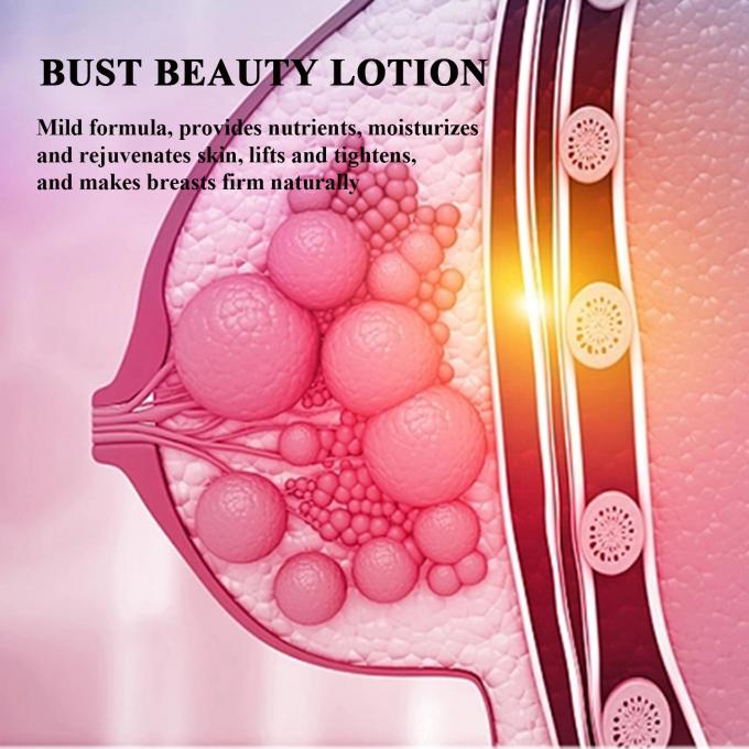 Full Elasticity Brustvergrößerung Lotion Vergrößerung Bust Verstärker Wachstum Festigkeit für zu Hause 2