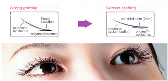 10mm-15mm natürliche lange falsche Wimpern 5 Paare synthetische Farbhaarverlängerungen 7